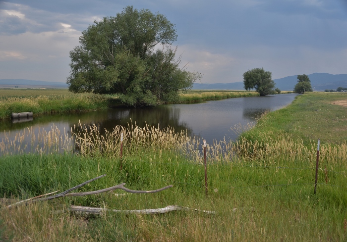 river flowing near CR60